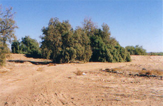 Photo from the immigrant workers investigation