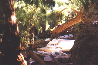 Photo from the immigrant workers investigation